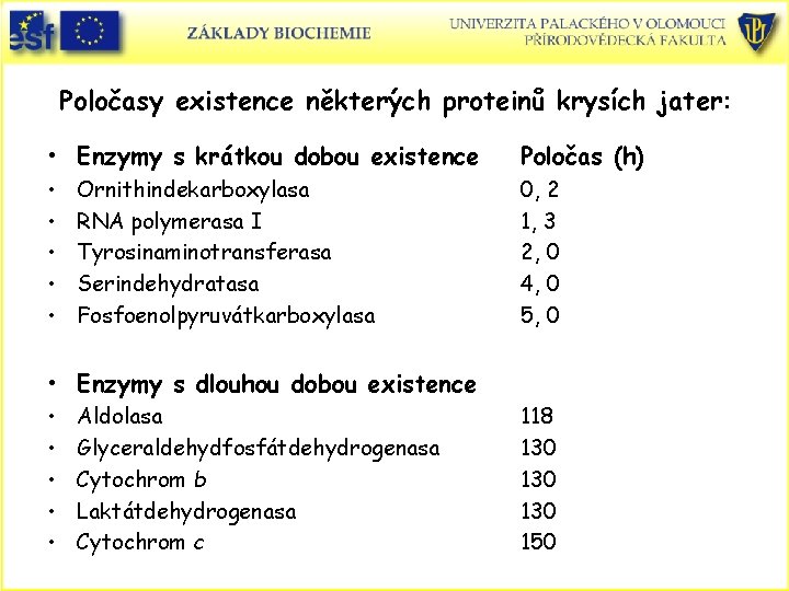 Poločasy existence některých proteinů krysích jater: • Enzymy s krátkou dobou existence Poločas (h)