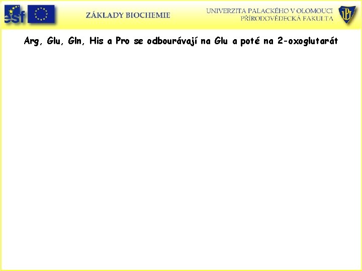 Arg, Glu, Gln, His a Pro se odbourávají na Glu a poté na 2