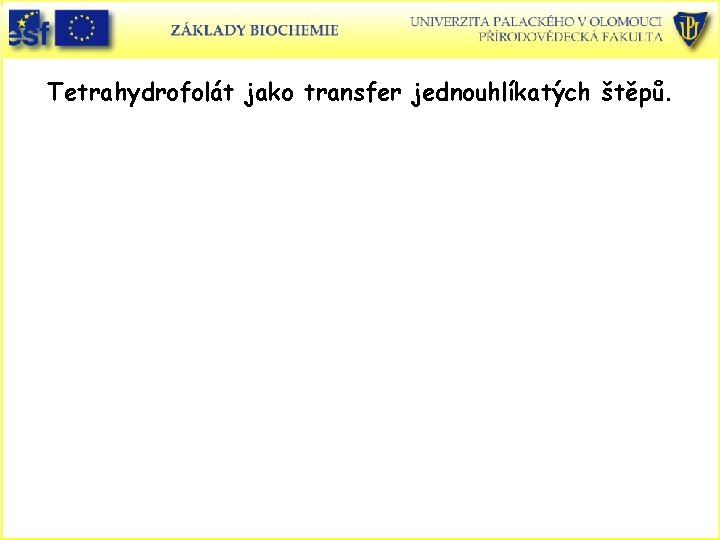 Tetrahydrofolát jako transfer jednouhlíkatých štěpů. 