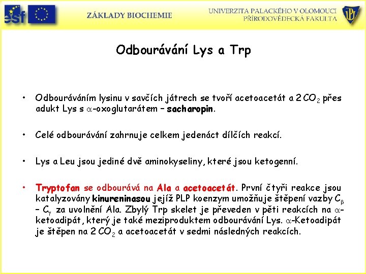 Odbourávání Lys a Trp • Odbouráváním lysinu v savčích játrech se tvoří acetoacetát a