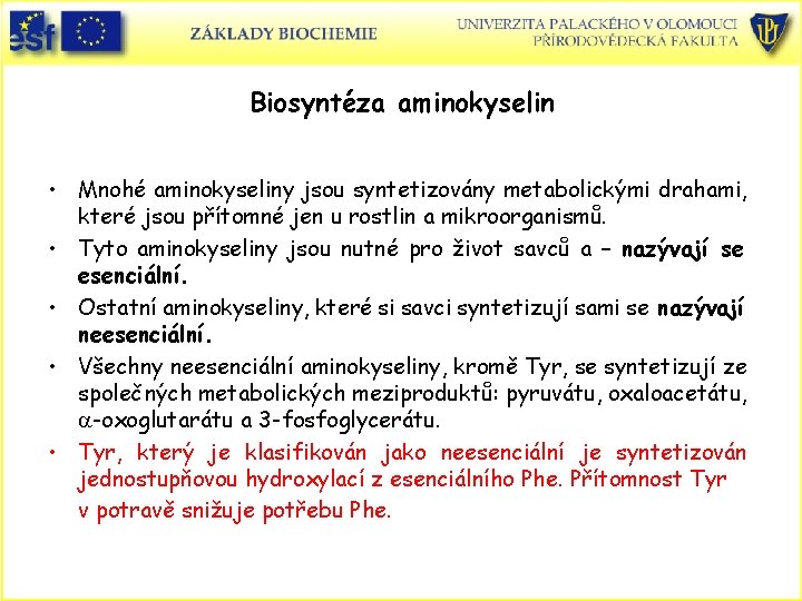 Biosyntéza aminokyselin • Mnohé aminokyseliny jsou syntetizovány metabolickými drahami, které jsou přítomné jen u