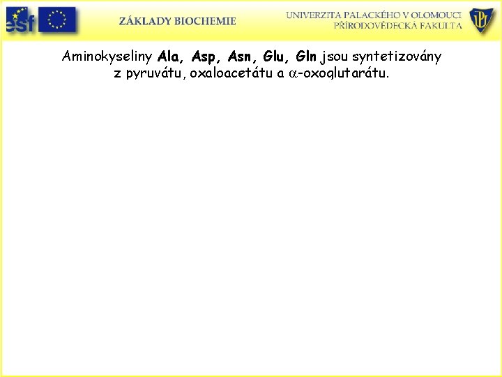 Aminokyseliny Ala, Asp, Asn, Glu, Gln jsou syntetizovány z pyruvátu, oxaloacetátu a a-oxoglutarátu. 