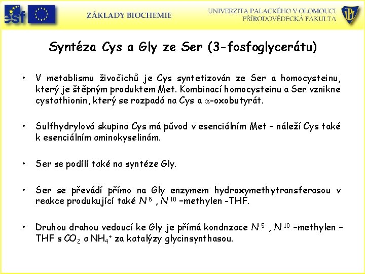 Syntéza Cys a Gly ze Ser (3 -fosfoglycerátu) • V metablismu živočichů je Cys
