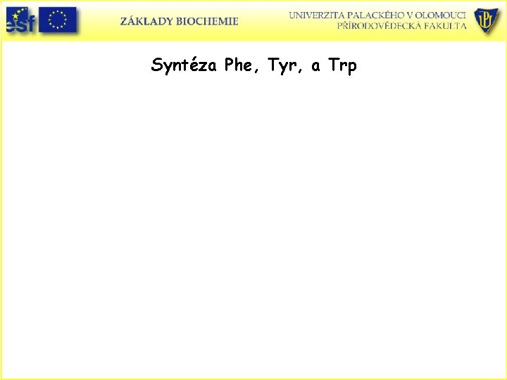Syntéza Phe, Tyr, a Trp 