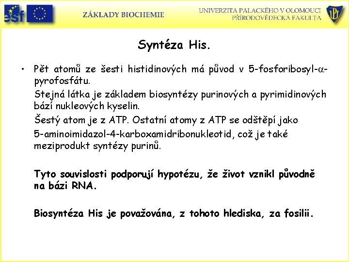 Syntéza His. • Pět atomů ze šesti histidinových má původ v 5 -fosforibosyl-apyrofosfátu. Stejná