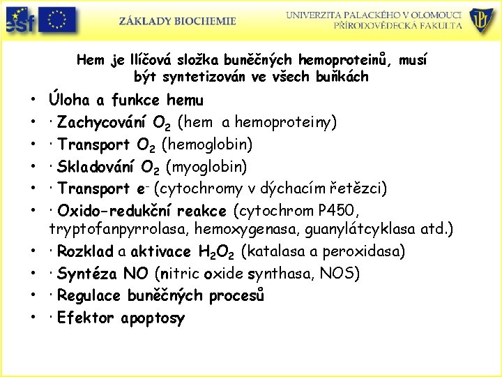 Hem je llíčová složka buněčných hemoproteinů, musí být syntetizován ve všech buňkách • •