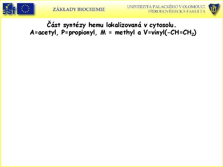 Část syntézy hemu lokalizovaná v cytosolu. A=acetyl, P=propionyl, M = methyl a V=vinyl(-CH=CH 2)