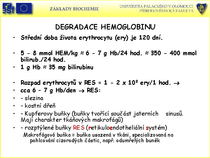DEGRADACE HEMOGLOBINU • Střední doba života erythrocytu (ery) je 120 dní. • 5 -