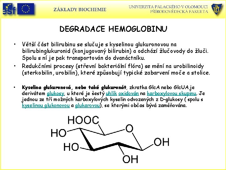 DEGRADACE HEMOGLOBINU • • • Větší část bilirubinu se slučuje s kyselinou glukuronovou na