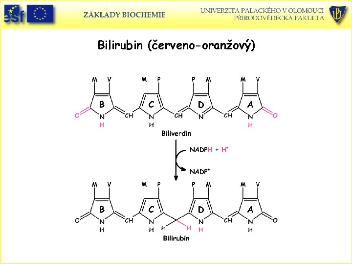 Bilirubin (červeno-oranžový) 