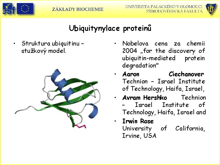 Ubiquitynylace proteinů • Struktura ubiquitinu – stužkový model. • Nobelova cena za chemii 2004