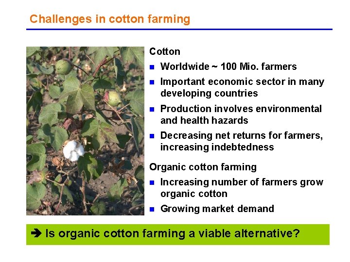 Challenges in cotton farming Cotton n Worldwide ~ 100 Mio. farmers n Important economic