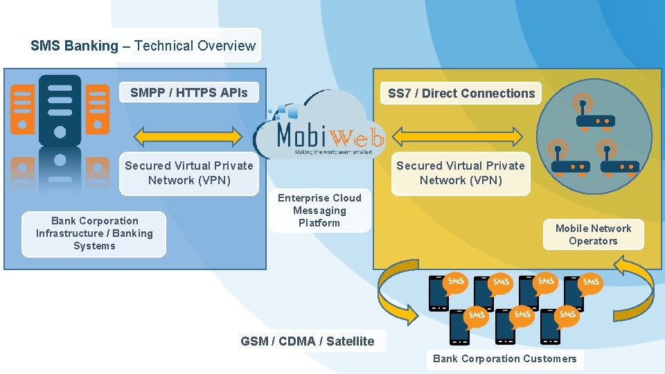 SMS Banking – Technical Overview SMPP / HTTPS APIs SS 7 / Direct Connections