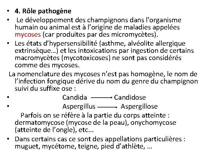  • 4. Rôle pathogène • Le développement des champignons dans l’organisme humain ou