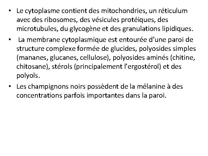  • Le cytoplasme contient des mitochondries, un réticulum avec des ribosomes, des vésicules