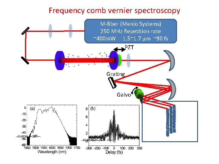 Frequency comb vernier spectroscopy M-fiber (Menlo Systems) 250 MHz Repetition rate ~400 m. W