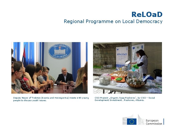 Re. LOa. D Regional Programme on Local Democracy Deputy Mayor of Trebinje (Bosnia and