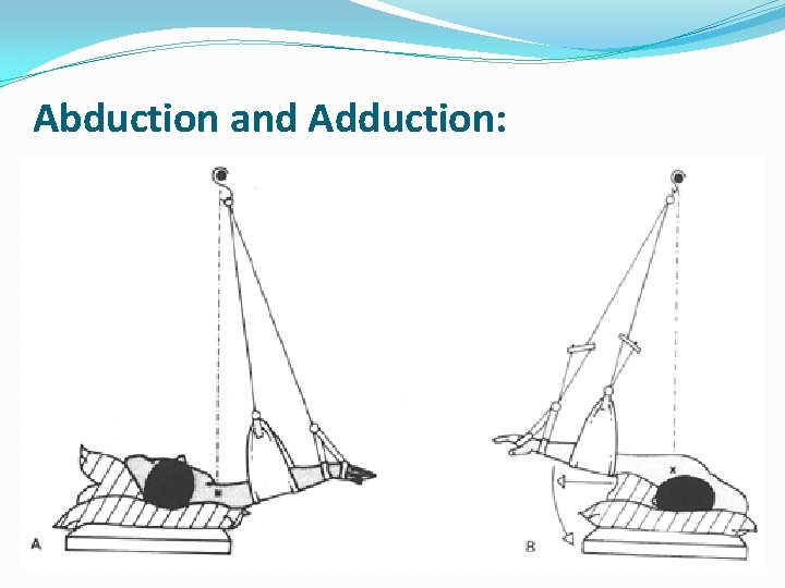 Abduction and Adduction: 