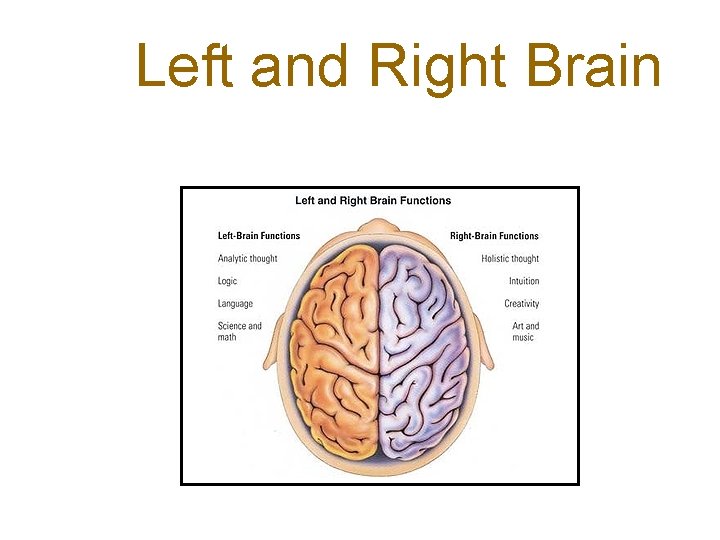 Left and Right Brain 