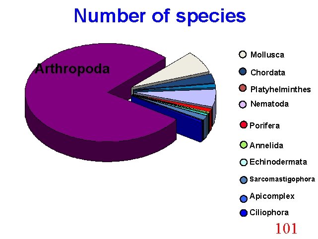 Number of species Mollusca Arthropoda Chordata Platyhelminthes Nematoda Porifera Annelida Echinodermata Sarcomastigophora Apicomplex Ciliophora