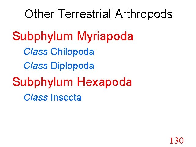 Other Terrestrial Arthropods Subphylum Myriapoda Class Chilopoda Class Diplopoda Subphylum Hexapoda Class Insecta 130