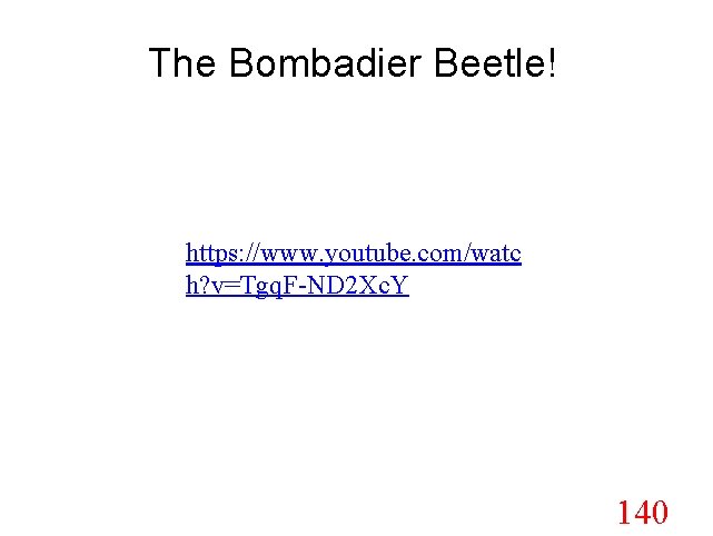 The Bombadier Beetle! https: //www. youtube. com/watc h? v=Tgq. F-ND 2 Xc. Y 140