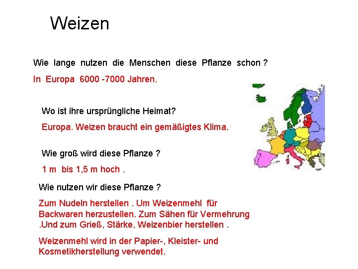 Weizen Wie lange nutzen die Menschen diese Pflanze schon ? In Europa 6000 -7000