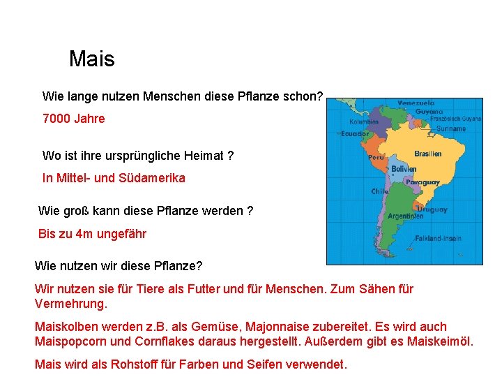 Mais Wie lange nutzen Menschen diese Pflanze schon? 7000 Jahre Wo ist ihre ursprüngliche