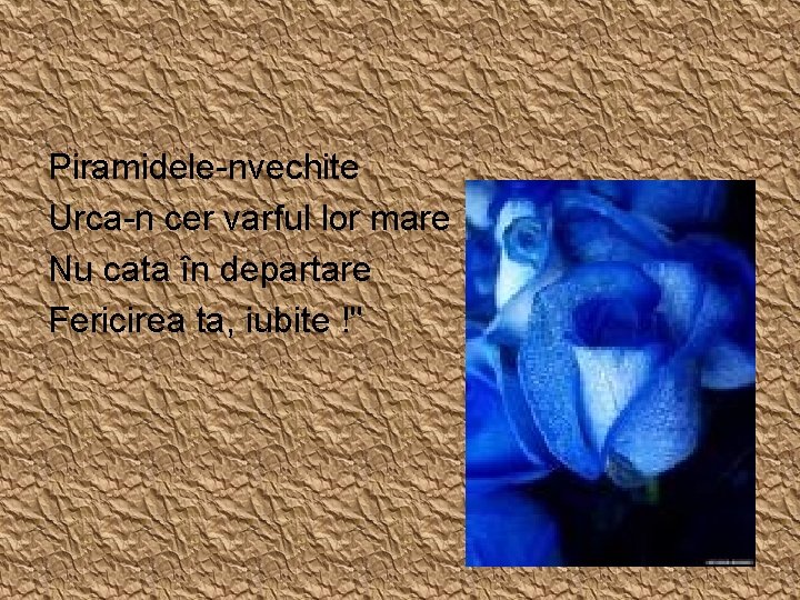 Piramidele-nvechite Urca-n cer varful lor mare Nu cata în departare Fericirea ta, iubite !"