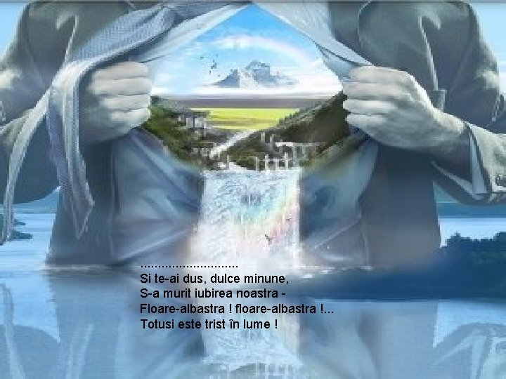 . . . . Si te-ai dus, dulce minune, S-a murit iubirea noastra Floare-albastra