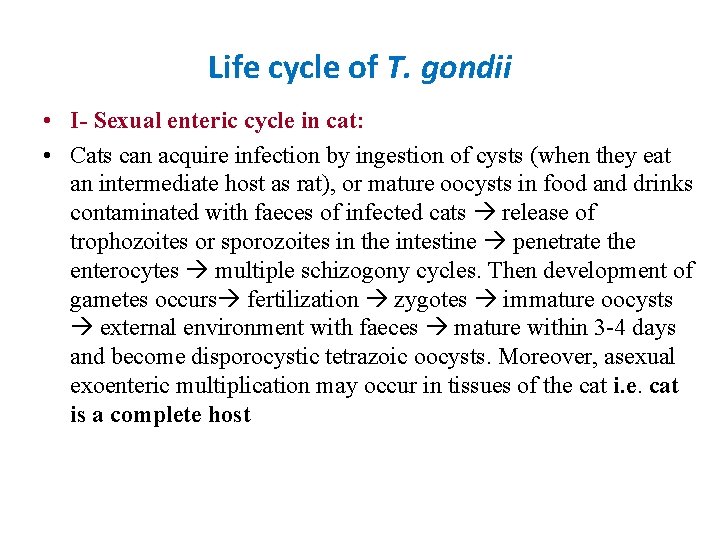 Life cycle of T. gondii • I- Sexual enteric cycle in cat: • Cats