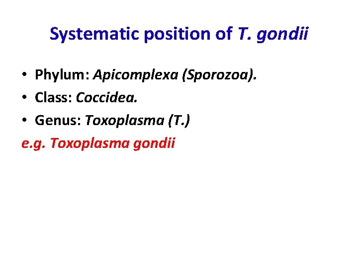 Systematic position of T. gondii • Phylum: Apicomplexa (Sporozoa). • Class: Coccidea. • Genus: