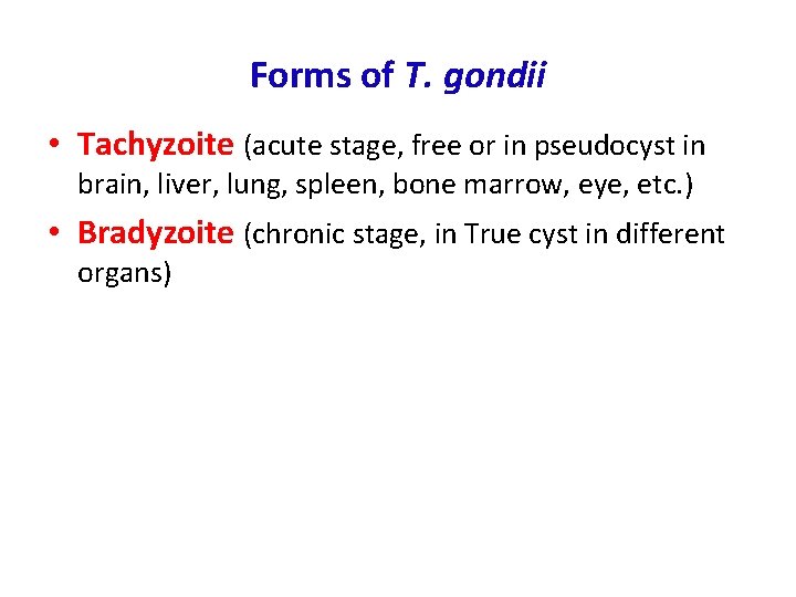 Forms of T. gondii • Tachyzoite (acute stage, free or in pseudocyst in brain,