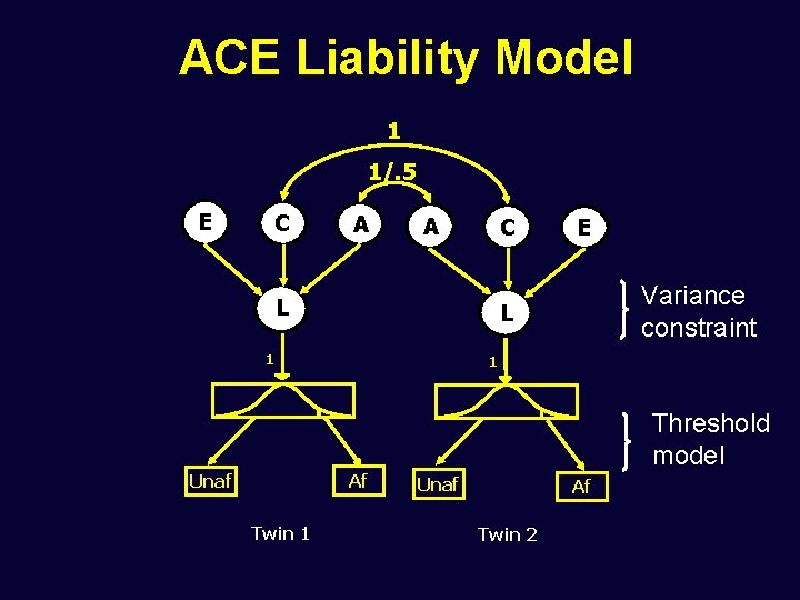 ACE Liability Model 1 1/. 5 E C A A C L 1 Af