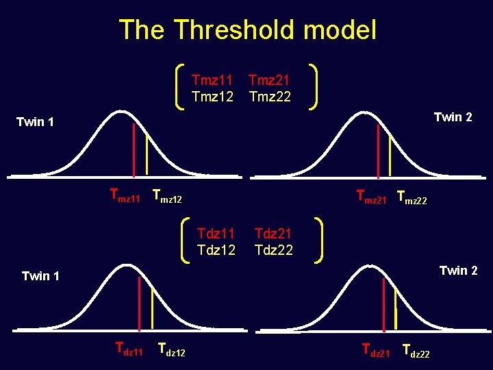 The Threshold model Tmz 11 Tmz 12 Tmz 21 Tmz 22 Twin 1 Tmz