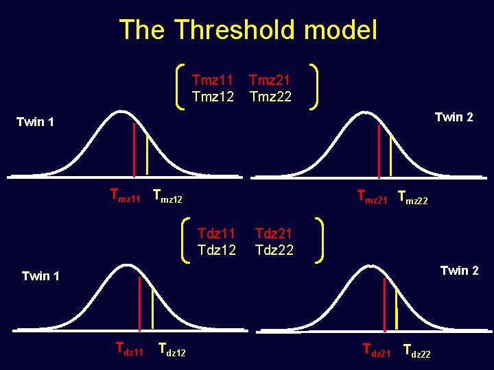 The Threshold model Tmz 11 Tmz 12 Tmz 21 Tmz 22 Twin 1 Tmz