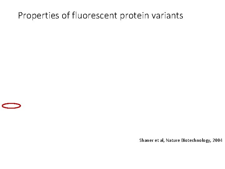 Properties of fluorescent protein variants Shaner et al, Nature Biotechnology, 2004 