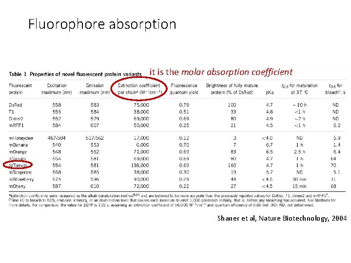Fluorophore absorption it is the molar absorption coefficient Shaner et al, Nature Biotechnology, 2004