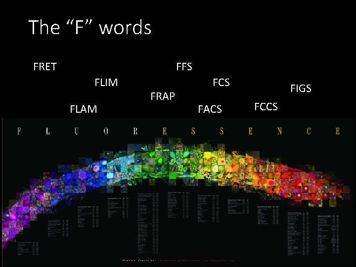 The “F” words FRET FFS FLIM FLAM FRAP FCS FACS FIGS FCCS 