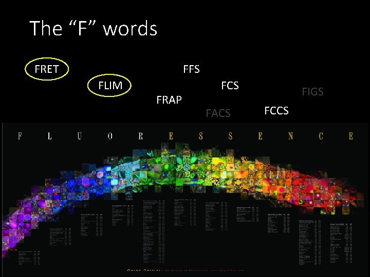 The “F” words FRET FFS FLIM FLAM FRAP FCS FACS FIGS FCCS 