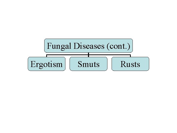 Fungal Diseases (cont. ) Ergotism Smuts Rusts 