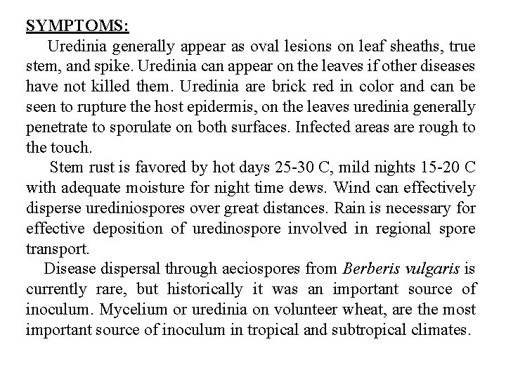SYMPTOMS: Uredinia generally appear as oval lesions on leaf sheaths, true stem, and spike.