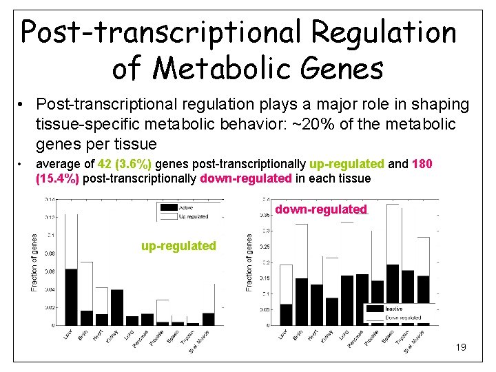 Post-transcriptional Regulation of Metabolic Genes • Post-transcriptional regulation plays a major role in shaping