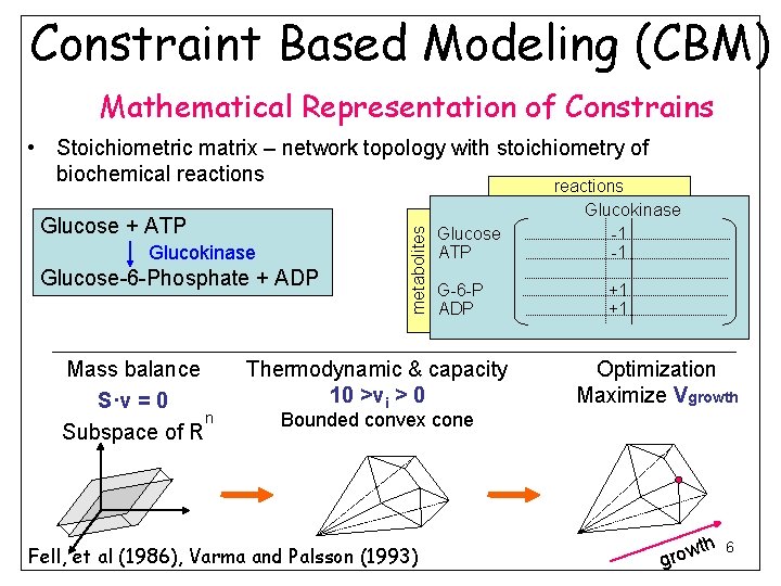 Constraint Based Modeling (CBM) Mathematical Representation of Constrains Glucose + ATP Glucokinase Glucose-6 -Phosphate