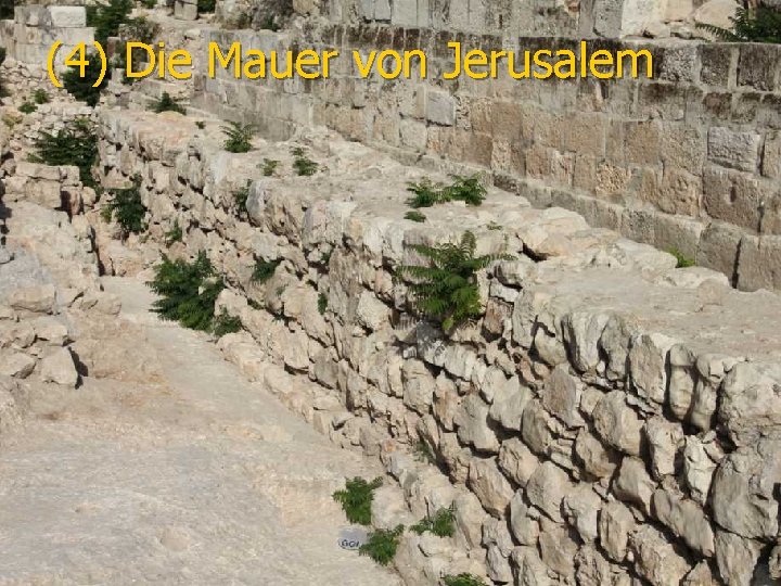 (4) Die Mauer von Jerusalem 