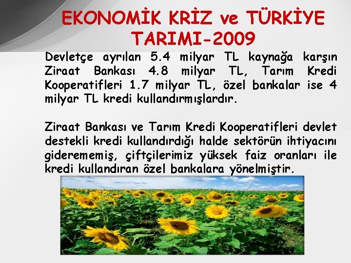 EKONOMİK KRİZ ve TÜRKİYE TARIMI-2009 Devletçe ayrılan 5. 4 milyar TL kaynağa karşın Ziraat