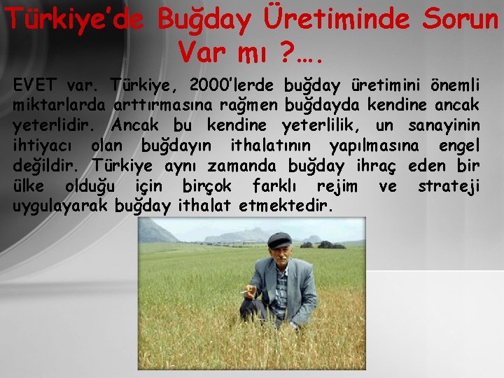 Türkiye’de Buğday Üretiminde Sorun Var mı ? …. EVET var. Türkiye, 2000’lerde buğday üretimini