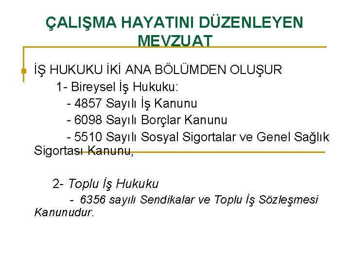 ÇALIŞMA HAYATINI DÜZENLEYEN MEVZUAT İŞ HUKUKU İKİ ANA BÖLÜMDEN OLUŞUR 1 - Bireysel İş