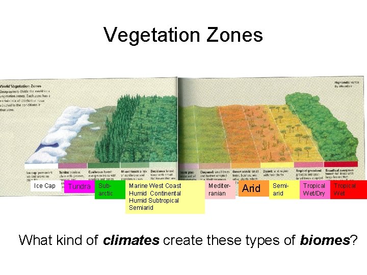 Vegetation Zones Ice Cap Tundra Subarctic Marine West Coast Humid Continental Humid Subtropical Semiarid