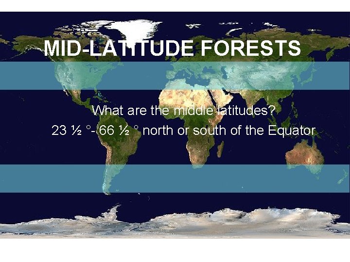 MID-LATITUDE FORESTS What are the middle latitudes? 23 ½ °- 66 ½ ° north